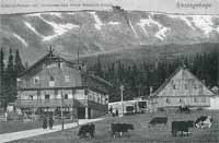 Rozmiar: 9568 bajt�w